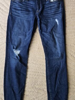 Hudson Jeans Dark Indigo Skinny with Knee Distress